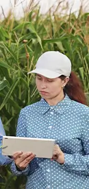 Gest&atilde;o do Agroneg&oacute;cio